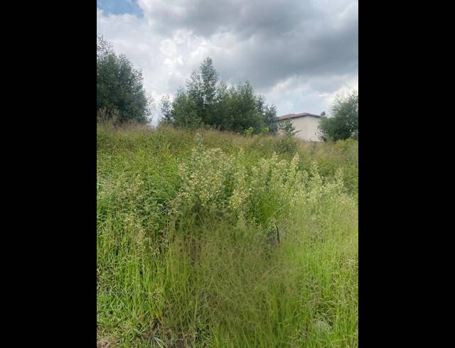 991M² VACANT LAND FOR SALE IN OHENIMURI